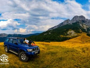 jeep safari